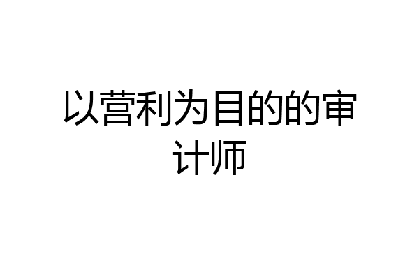 以营利为目的的审计师