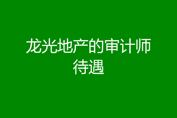龙光地产的审计师待遇