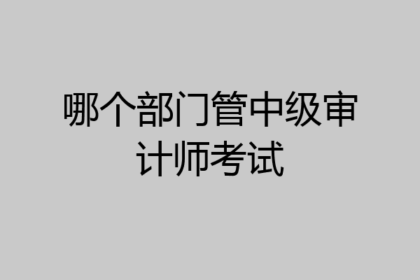 哪个部门管中级审计师考试