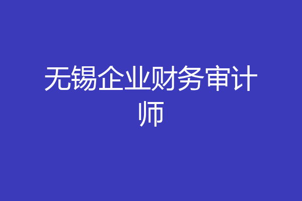 无锡企业财务审计师
