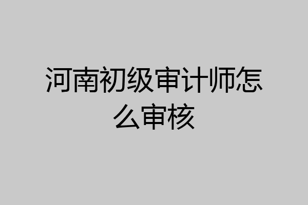 河南初级审计师怎么审核