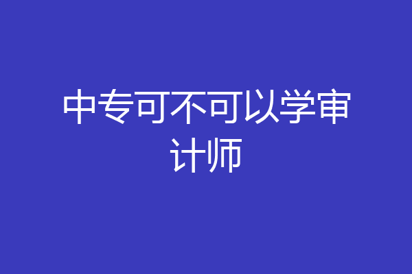 中专可不可以学审计师