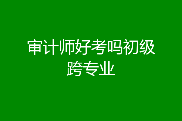 审计师好考吗初级跨专业
