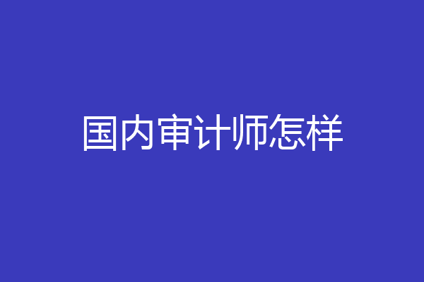 国内审计师怎样