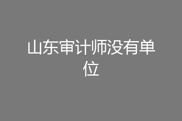 山东审计师没有单位