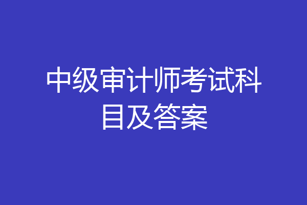 中级审计师考试科目及答案