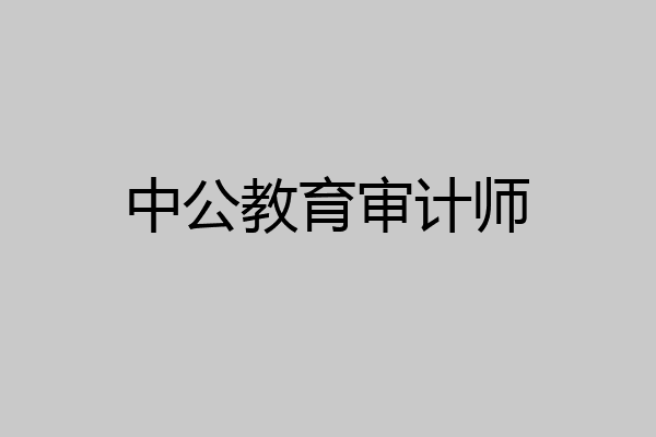 中公教育审计师