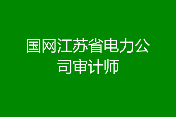 国网江苏省电力公司审计师