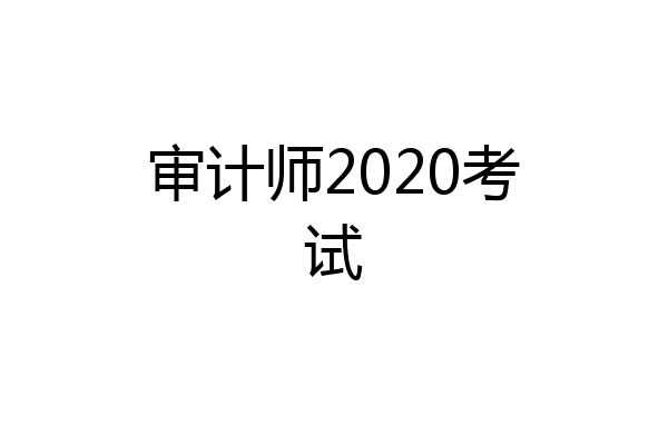 审计师2020考试