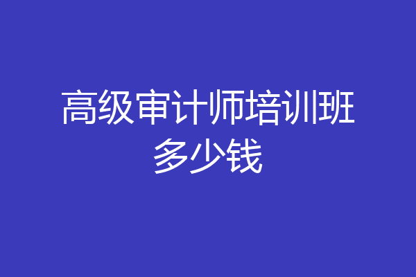 高级审计师培训班多少钱