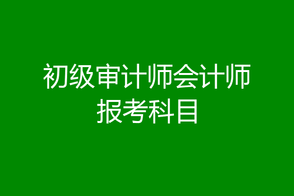 初级审计师会计师报考科目