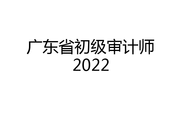 广东省初级审计师2022