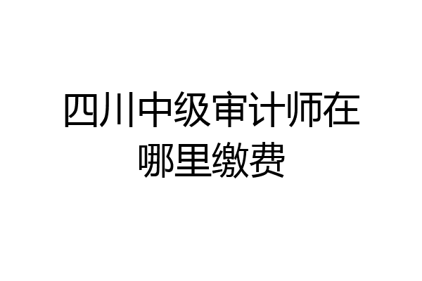 四川中级审计师在哪里缴费