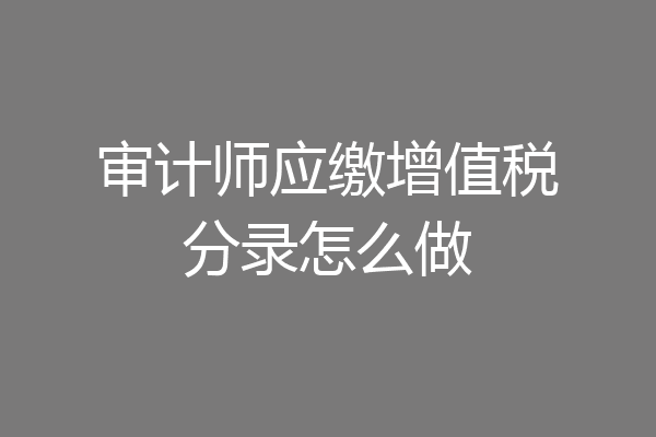 审计师应缴增值税分录怎么做