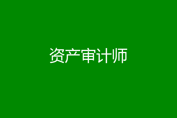 资产审计师