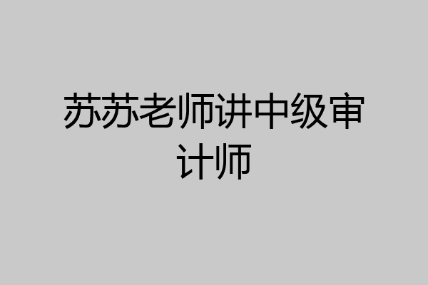苏苏老师讲中级审计师