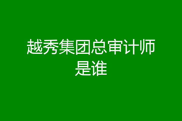 越秀集团总审计师是谁