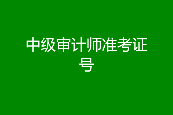 中级审计师准考证号