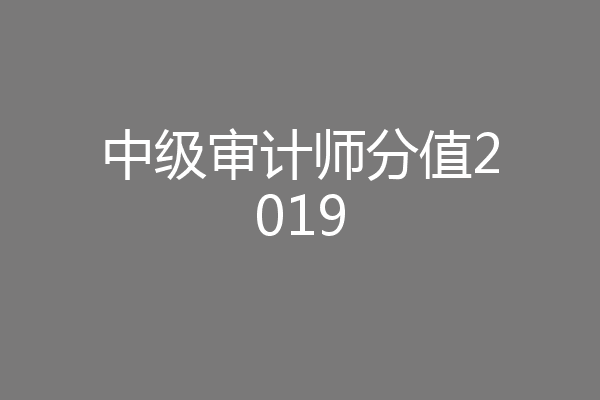 中级审计师分值2019