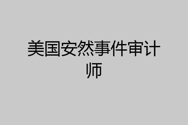 美国安然事件审计师