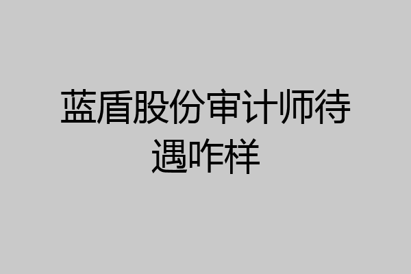 蓝盾股份审计师待遇咋样