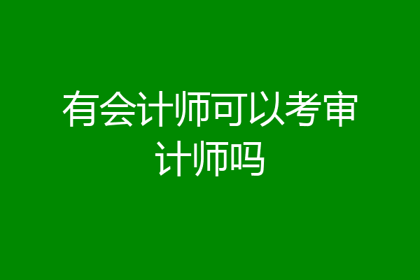有会计师可以考审计师吗