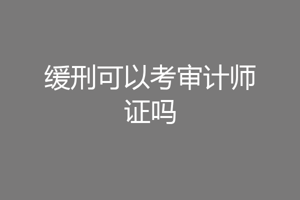 缓刑可以考审计师证吗