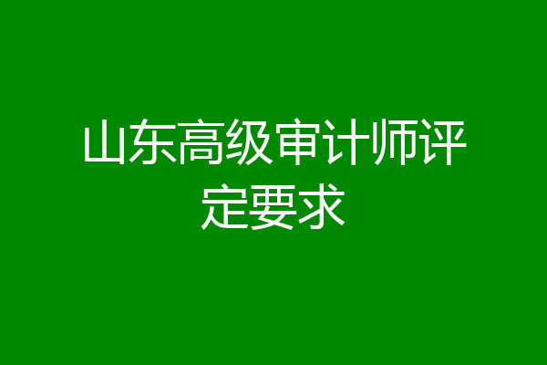 山东高级审计师评定要求