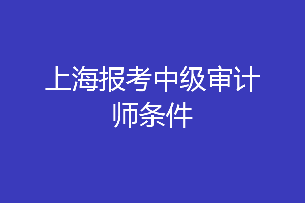 上海报考中级审计师条件