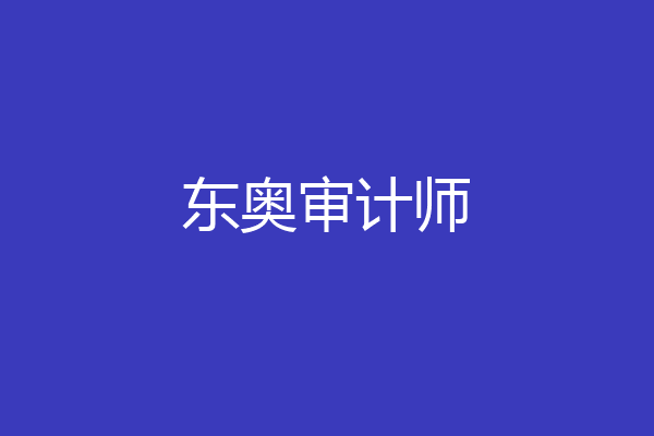 东奥审计师