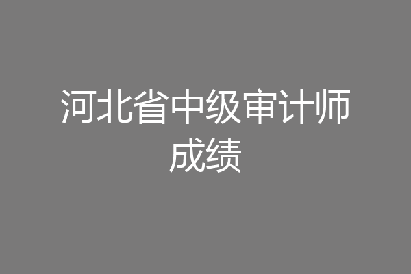 河北省中级审计师成绩