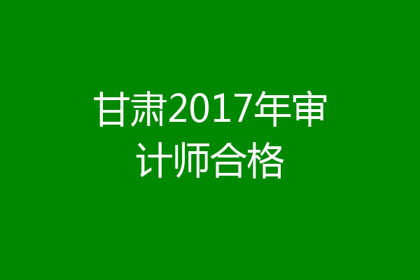 甘肃2017年审计师合格