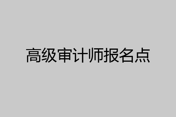 高级审计师报名点