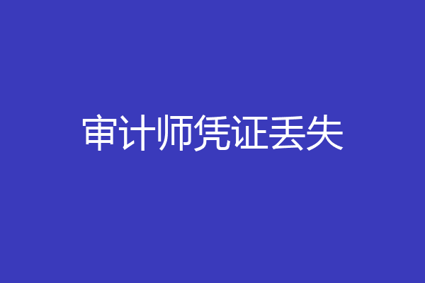 审计师凭证丢失