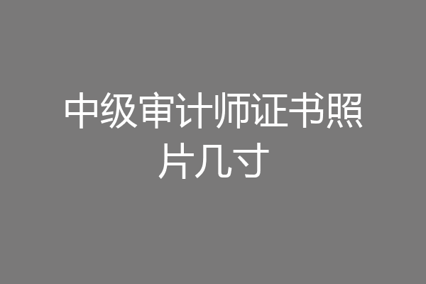 中级审计师证书照片几寸