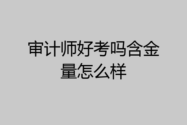 审计师好考吗含金量怎么样