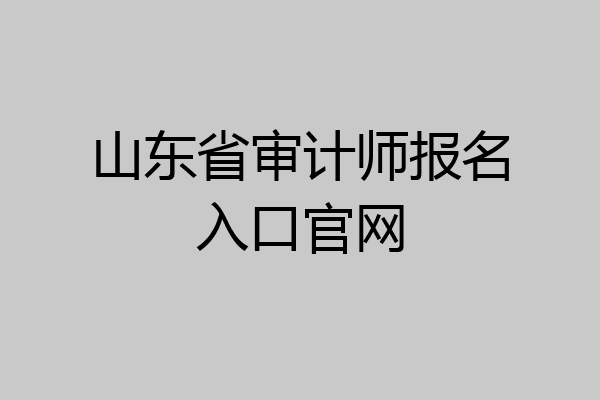 山东省审计师报名入口官网