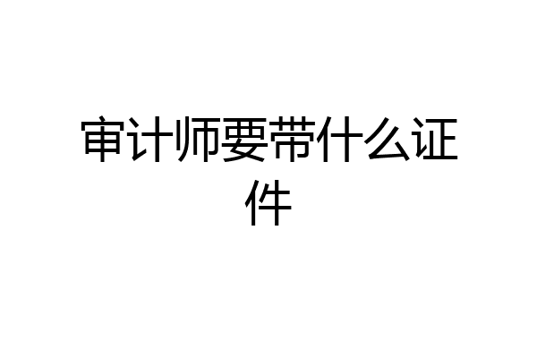 审计师要带什么证件