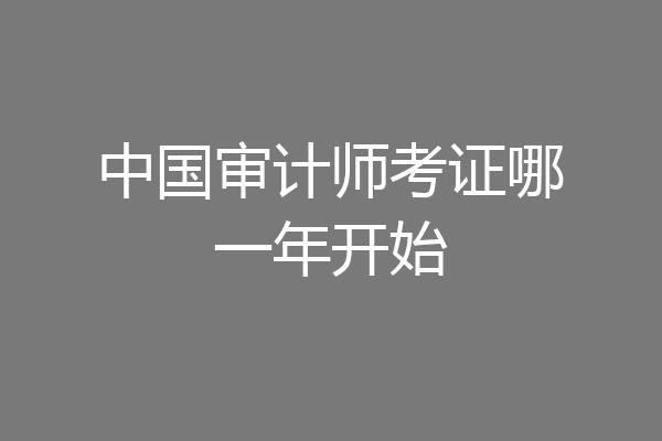 中国审计师考证哪一年开始