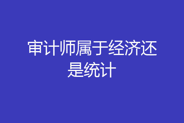 审计师属于经济还是统计
