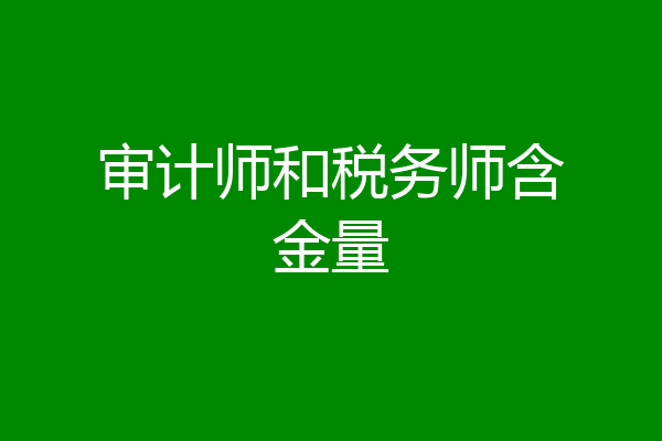 审计师和税务师含金量