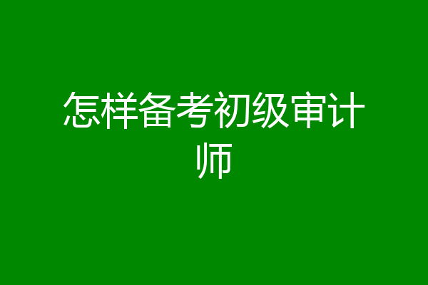 怎样备考初级审计师