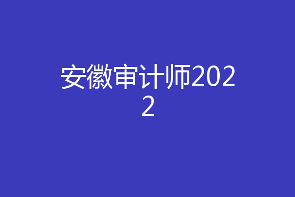 安徽审计师2022