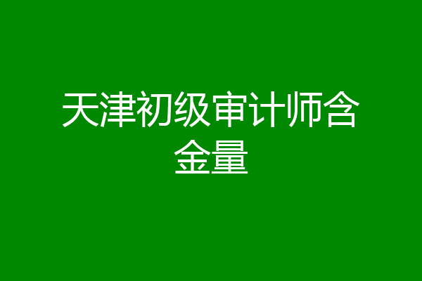 天津初级审计师含金量