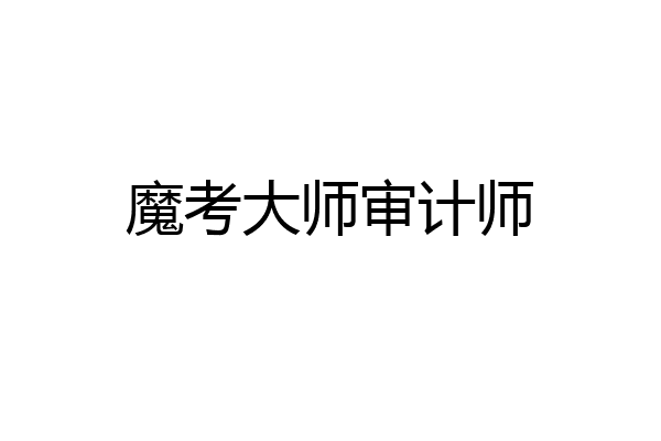 魔考大师审计师