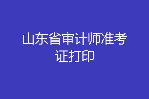 山东省审计师准考证打印