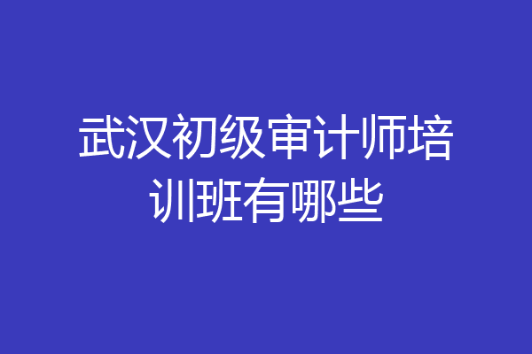 武汉初级审计师培训班有哪些