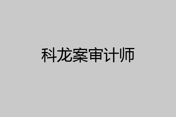 科龙案审计师