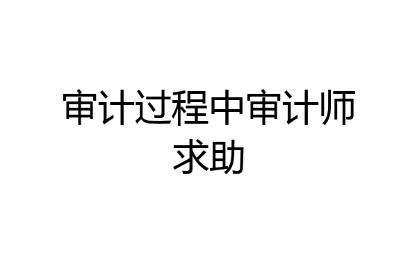 审计过程中审计师求助