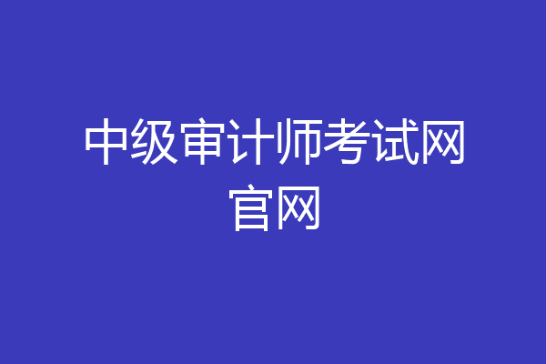 中级审计师考试网官网